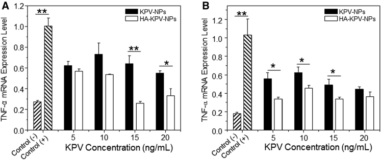 TNF-alpha mRNA expression levels at varying KPV concentrations comparing KPV-NPs and HA-KPV-NPs