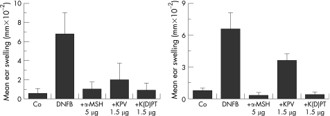 Bar graph showing ear swelling due to contact dermatitis at 24 hours and 2 weeks comparing alpha-MSH, KPV, and K(D)PT treatments